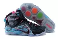 nike air lebron 12 heart of a lion basket girl